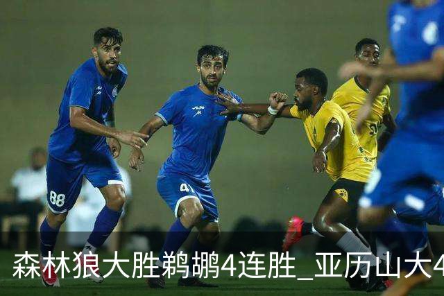 森林狼大胜鹈鹕4连胜 亚历山大43分雷霆克骑士